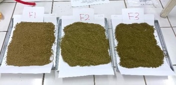 Nutraceutical Formulation Papaya Leaves