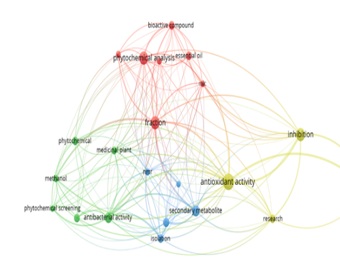 Keyword co-occurrence network